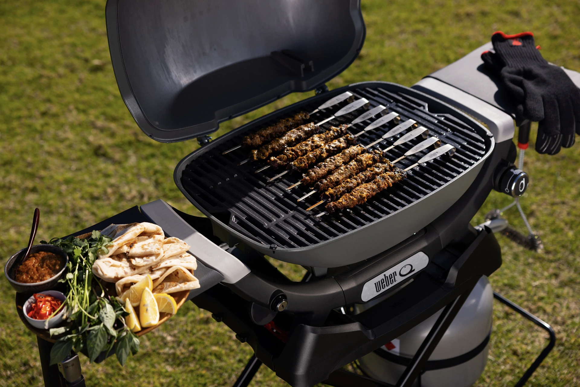 Weber Baby Q & Q Portable Cart 3400176 with Q1200N