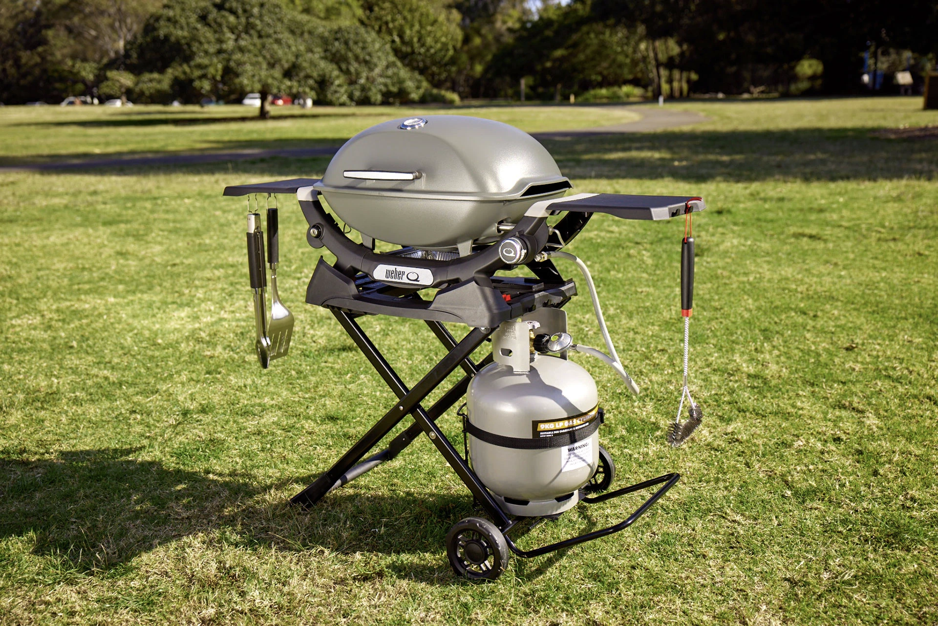 Weber Baby Q & Q Portable Cart 3400176 with Q2200N