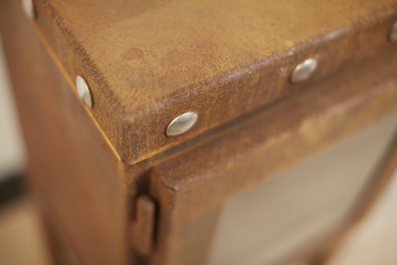 RB73 Piquia with detail