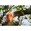 Stihl - AP - Battery Pole Pruner