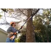 Stihl - AK - Battery Pole Pruner