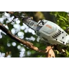 Stihl - AP - Battery Pole Pruner
