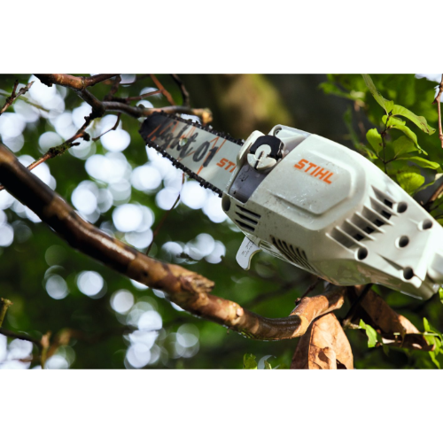 Stihl - AP - Battery Pole Pruner