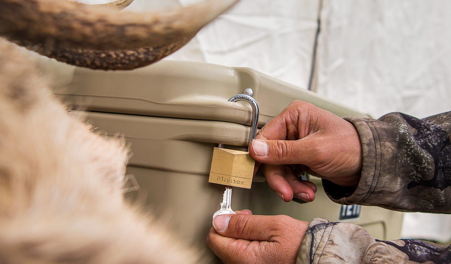 Yeti - Bear-Proof Lock - Two Pack v2